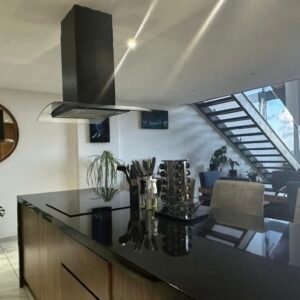 siaan penthouse