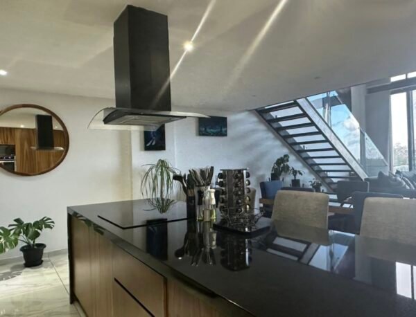 siaan penthouse